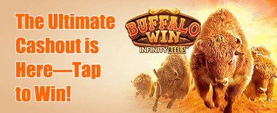 Daily VIP Cashback Rebate promotion